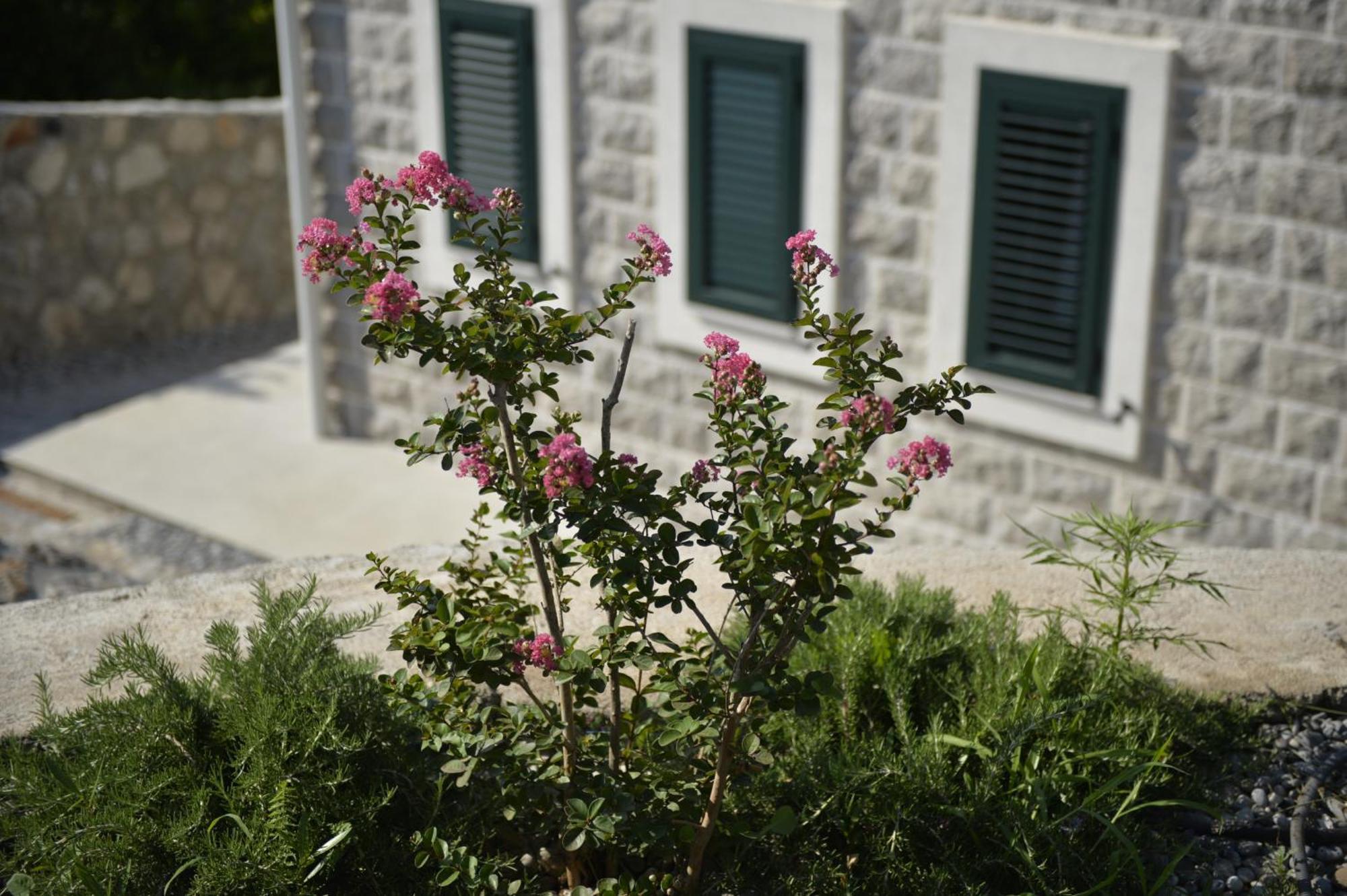Villa Vista Azzurra Tivat Exterior foto